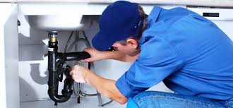 Best Trenchless Pipe Repair  in Powell, TN